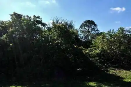 3068 Port St Lucie Boulevard, Port Saint Lucie, Florida 34953, ,Land/docks,For Sale,Port St Lucie,RX-11016281