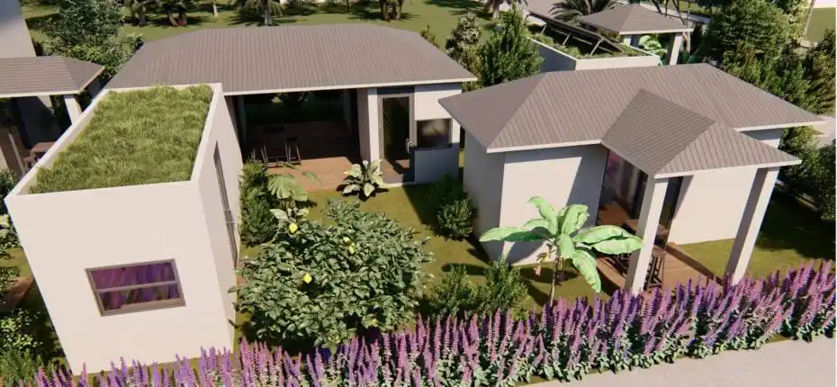 Design Build Renderings