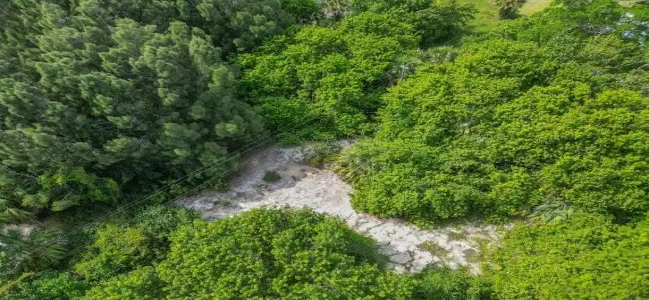 20231004141525578886000000-o