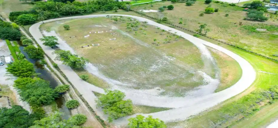 16495 Hollow Tree Ln 012