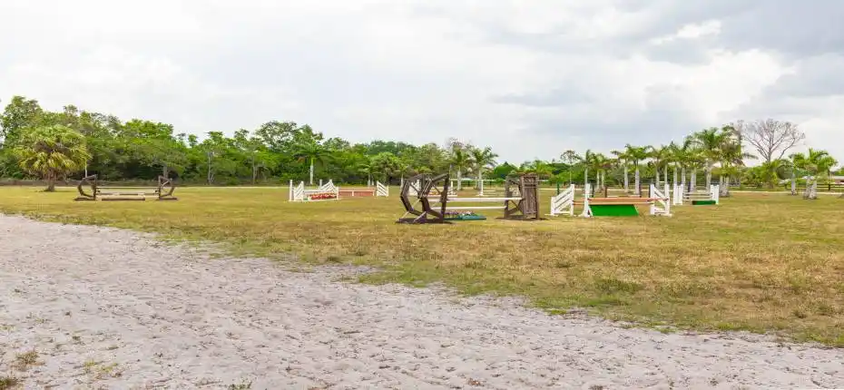 16495 Hollow Tree Ln 013