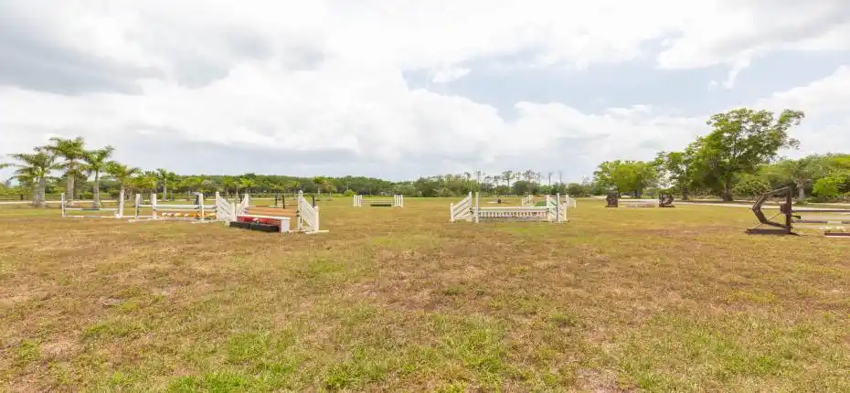 16495 Hollow Tree Ln 010