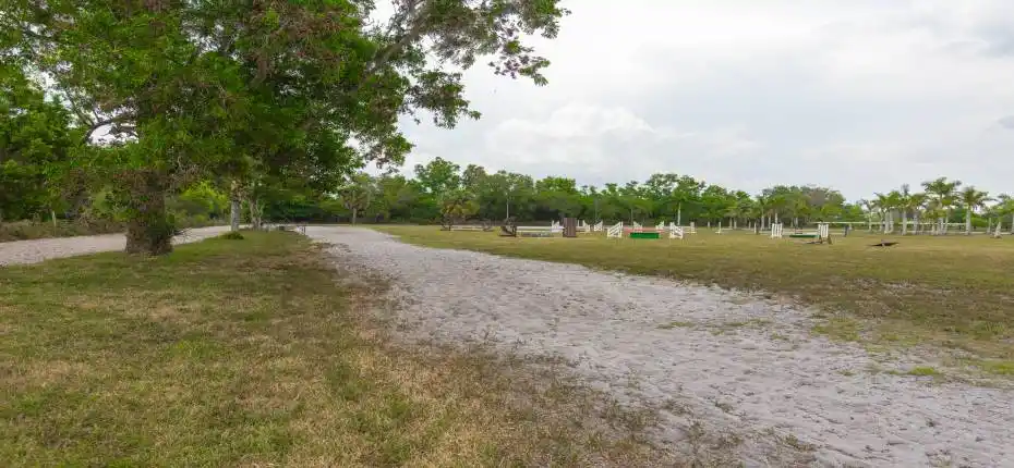 16495 Hollow Tree Ln 004