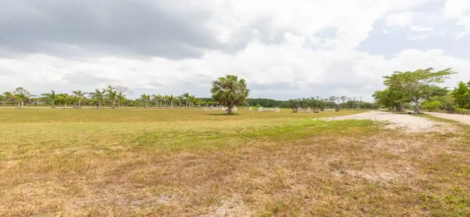 16495 Hollow Tree Ln 007