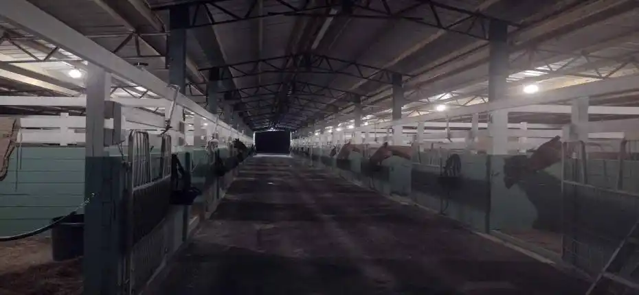 1100 stall cengter aisle