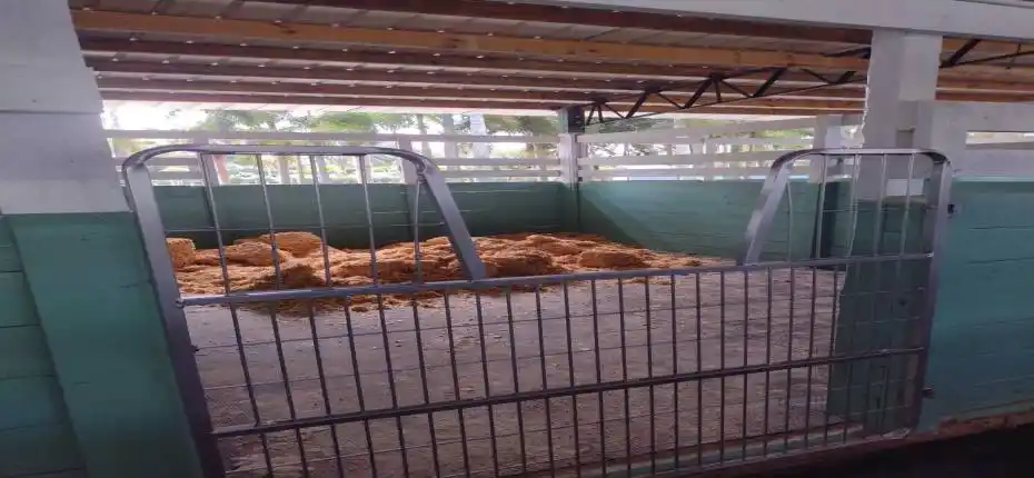 1100 Wash rack at night