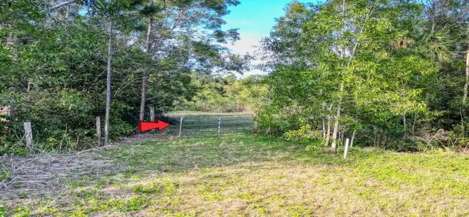 Aerial Views 9205 Patricia Ln (7)