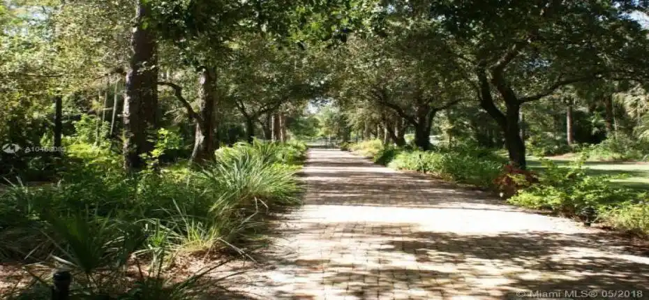 FOX TRAIL - FRON VIEW