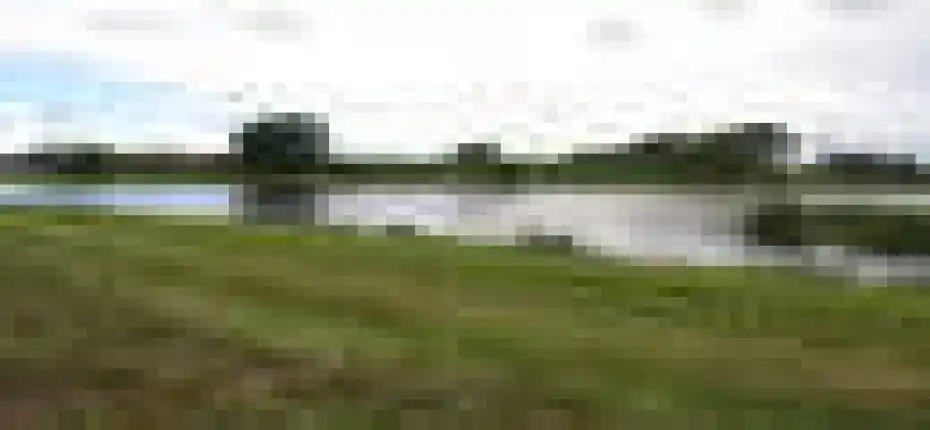 FOX TRAIL - FRONT VIEW 3