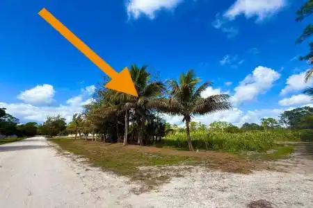 17853 60, The Acreage, Florida 33470, ,Land/docks,For Sale,60,RX-11068641