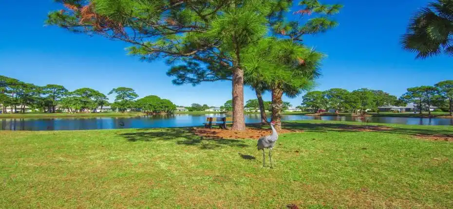 Gator Trace Lake on the circle