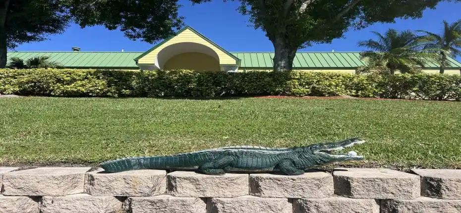 This one is NOT real