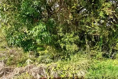 Tbd 37th Street, Fort Pierce, Florida 34947, ,Land/docks,For Sale,37th,RX-11082816