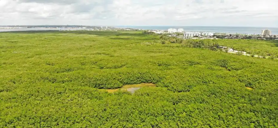 Beautiful parcel for sale