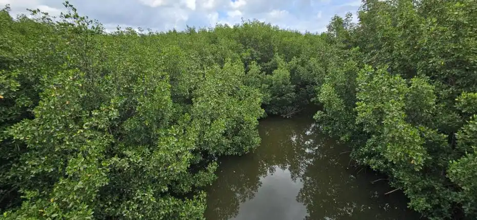 Beautiful parcel for sale