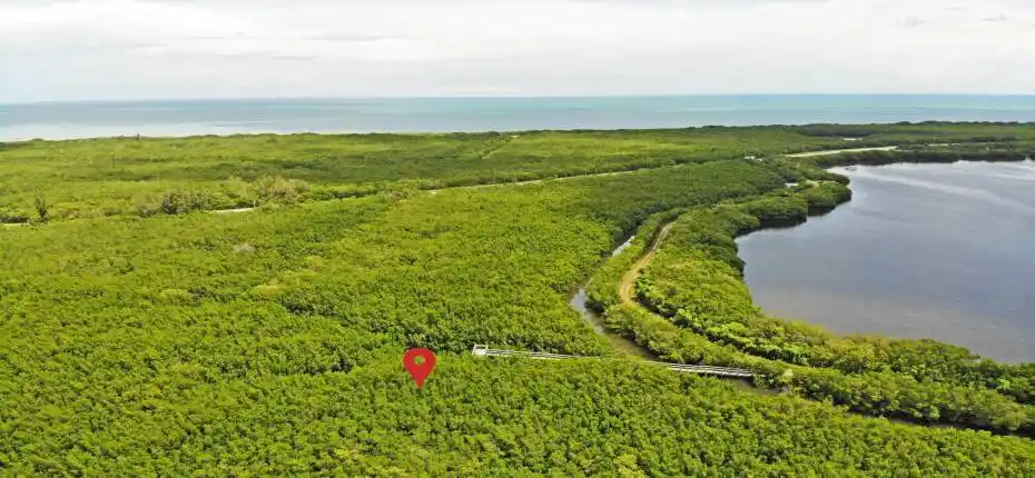 Beautiful parcel for sale