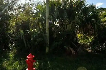 884 Mccoy Avenue, Port Saint Lucie, Florida 34953, ,Land/docks,For Sale,Mccoy,RX-11090946