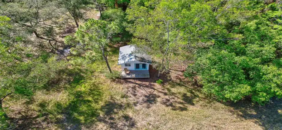 Bush-Hogged Regularly