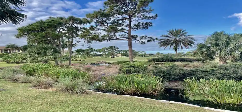 View of Water Feature and Green