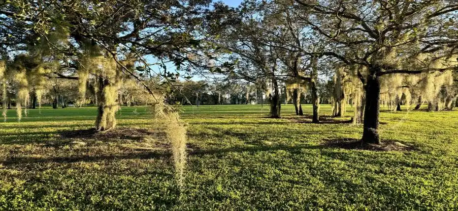 Park Sunset in Moss 2