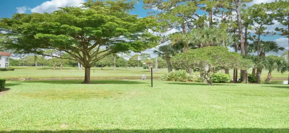 DSC_6341.JPG - V 2105 N