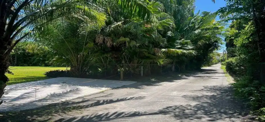 PHOTO-2024-11-07-16-38-58 (1)