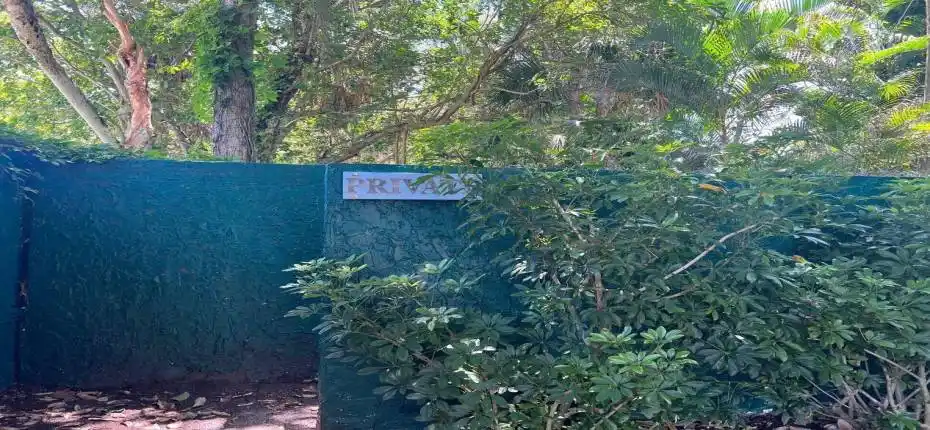 PHOTO-2024-11-07-16-38-57 (2)