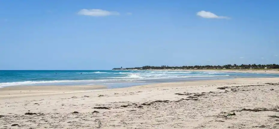 photo-2024-11-07-16-38-31