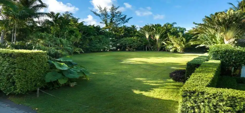 PHOTO-2024-11-07-16-38-59 (1)