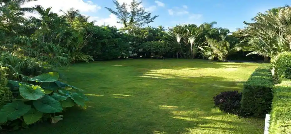 PHOTO-2024-11-07-16-38-59