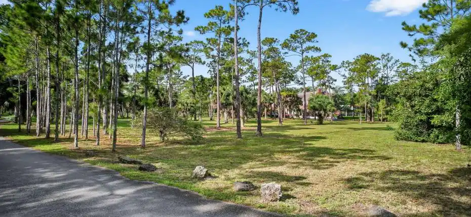 43-web-or-mls-DJI_0376