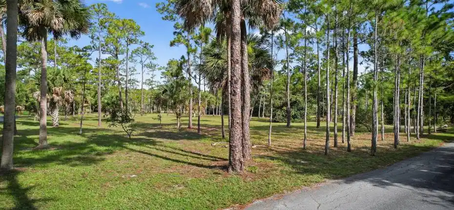 54-web-or-mls-DJI_0431