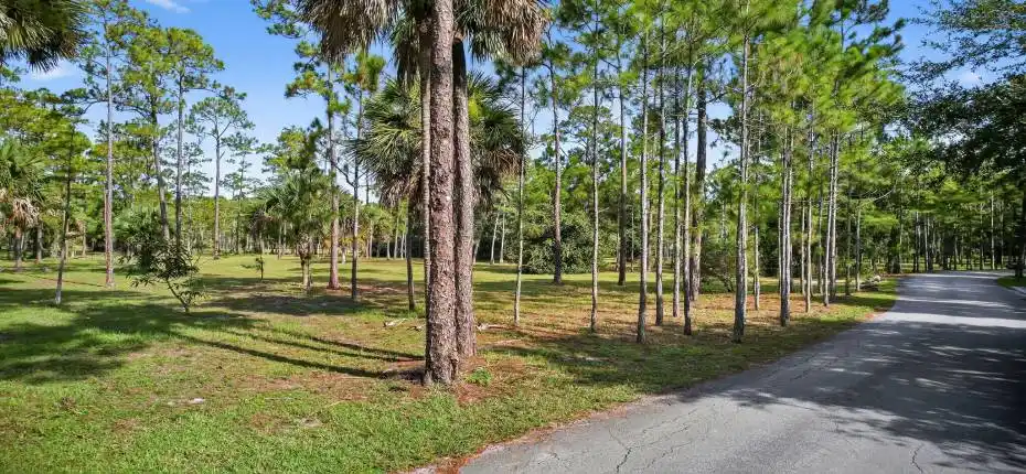 57-web-or-mls-DJI_0449