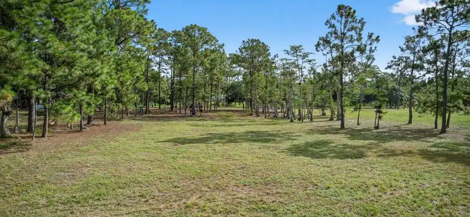 59-web-or-mls-DJI_0456