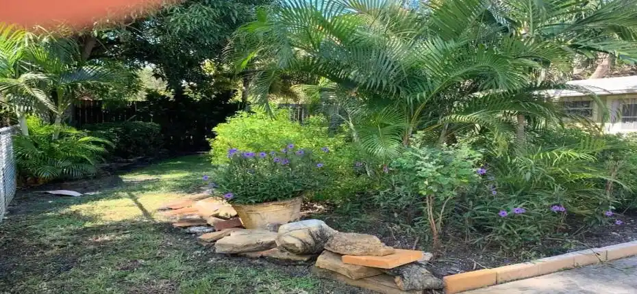 78588CCC-45CE-4D78-A1C1-91157ACCEC5F_1_1