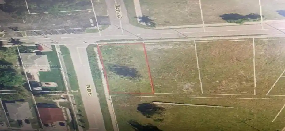 WhatsApp Image 2026-02-04 at 17.15.25