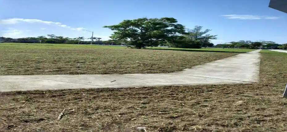 Imagem do WhatsApp de 2025-09-25 a(s) 15