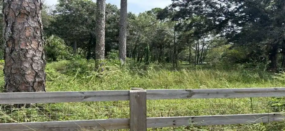 622354617_10242610471977907_579838623056