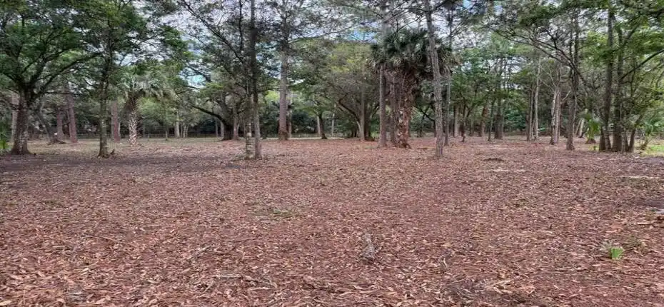 622866609_10242610472497920_449459582932