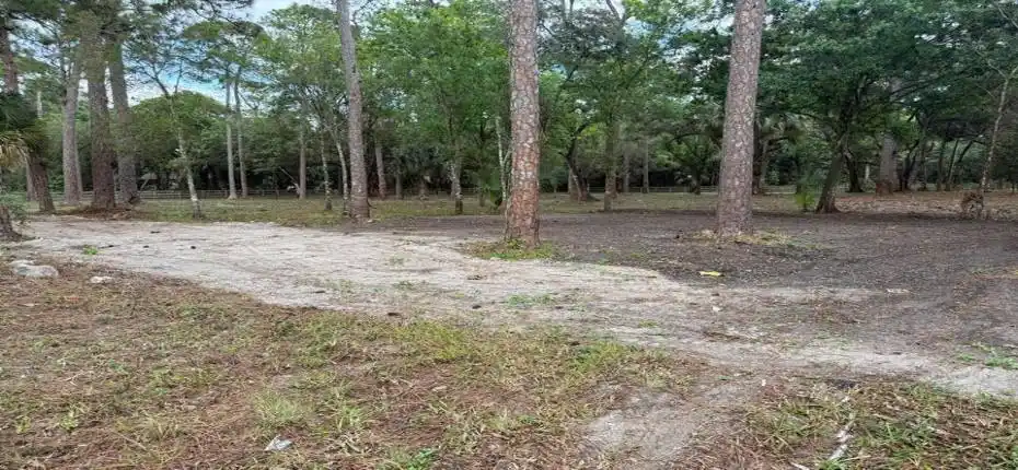 623295294_10242610472177912_767481881383