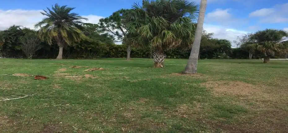 Right middle of lot looking forward