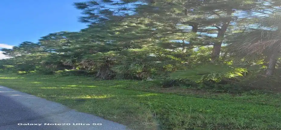 PIC 1 -- MOON SUNDAY