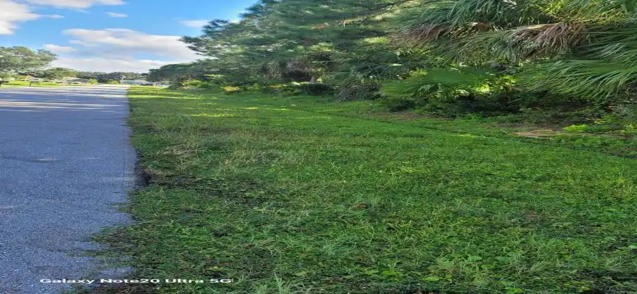 PIC 2 -- MOON SUNDAY