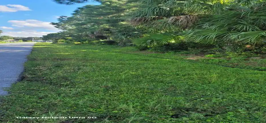 PIC 3 -- MOON SUNDAY