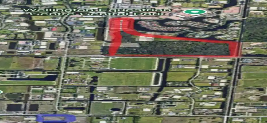 Screenshot 2025-03-10 110542