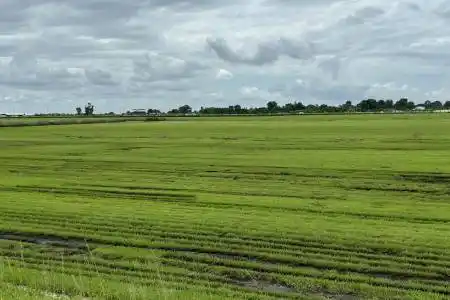 400 State Road 80, Belle Glade, Florida 33430, ,Land/docks,For Sale,State Road 80,RX-11133342