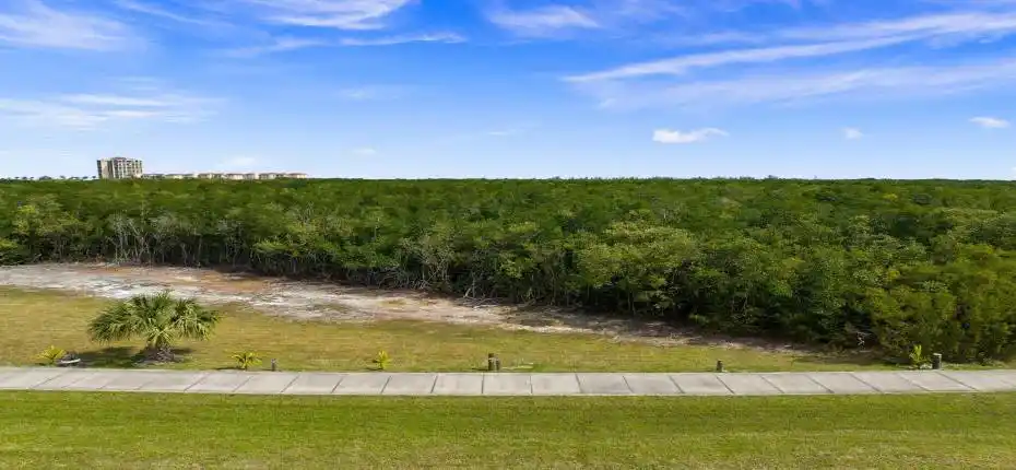 15-web-or-mls-DJI_0052