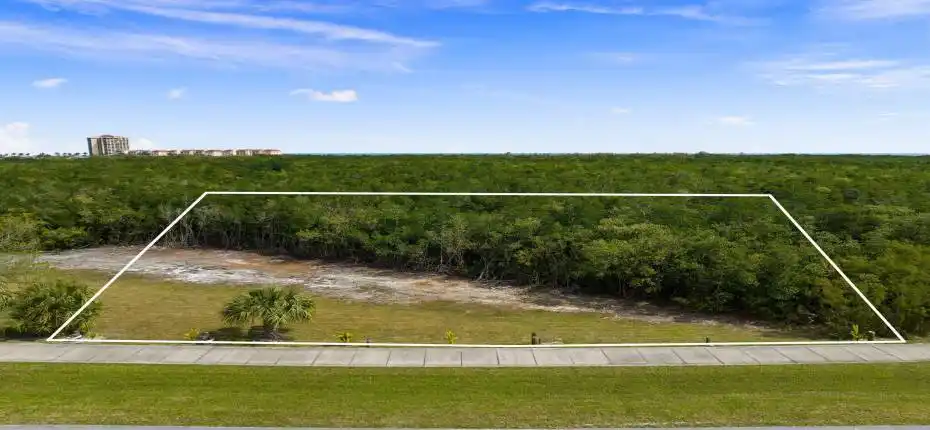 2-web-or-mls-DJI_0062 (2)