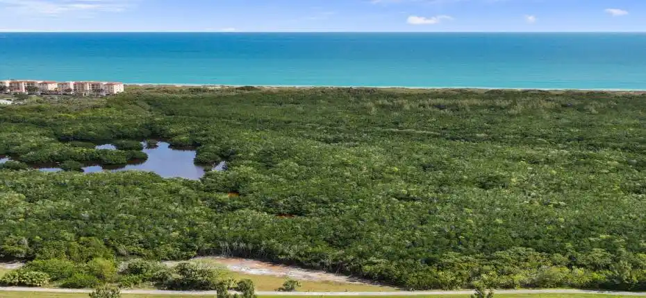 5-web-or-mls-DJI_0006