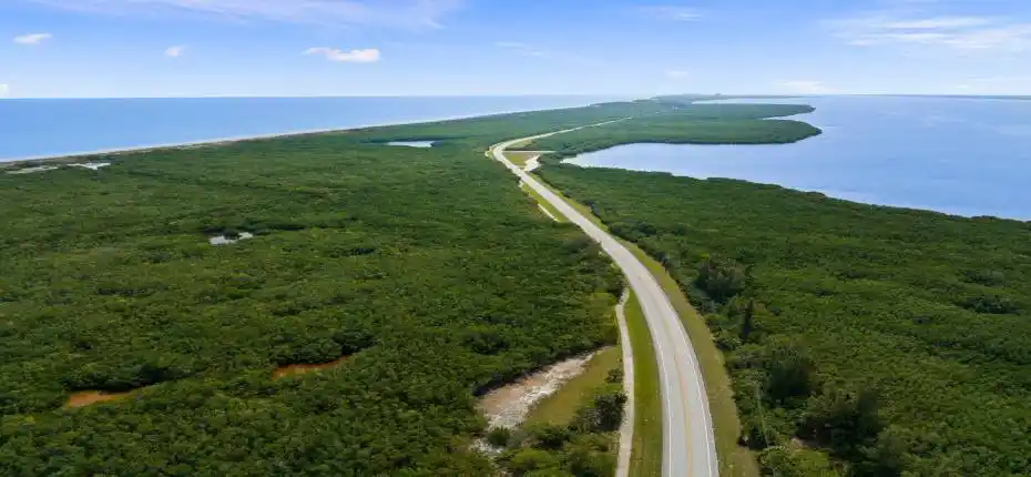 7-web-or-mls-DJI_0012